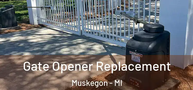 Gate Opener Replacement Muskegon - MI